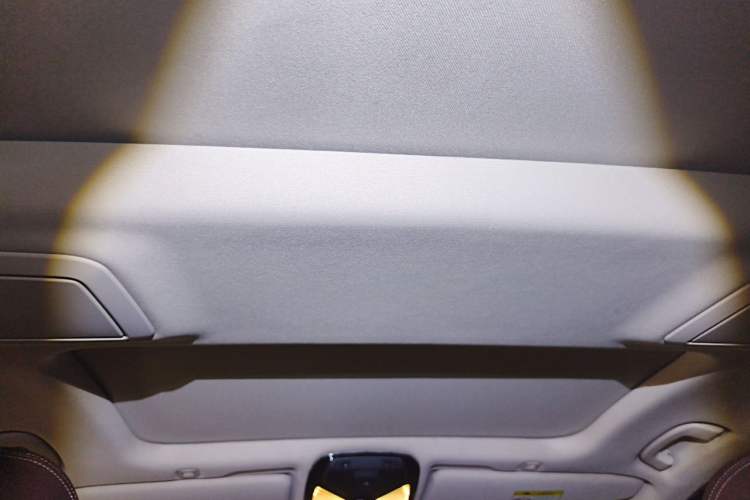 Used BMW 5 Series 2021 Restyled 530Li Leading Edition Luxury Package Headliner