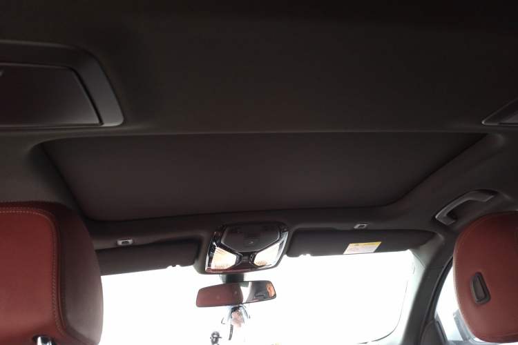 Used BMW 5 Series 2021 530Li xDrive M Sport Package Headliner