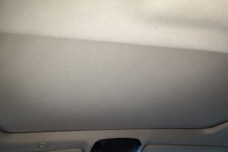 Used BMW 5 Series 2021 525Li Luxury Package Headliner