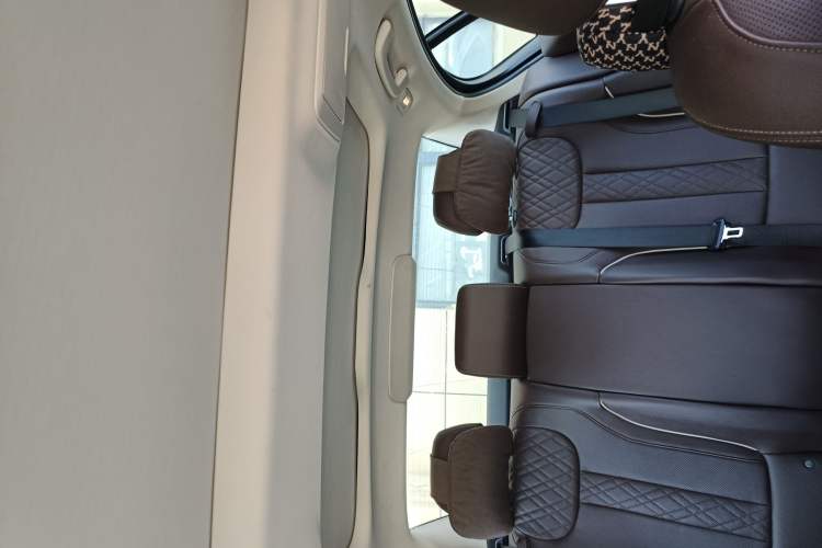 Used BMW 5 Series 2021 Restyled 530Li Leading Edition Luxury Package Headliner