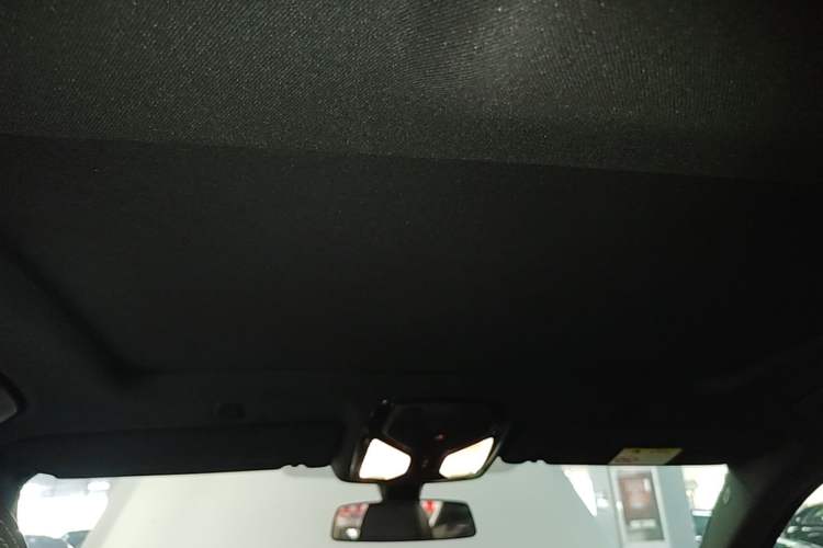 Used BMW 5 Series 2021 525Li M Sport Package Headliner