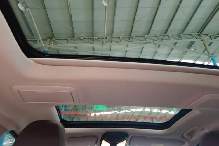 Used BMW 5 Series 2021 530Li Leading Luxury Package Headliner