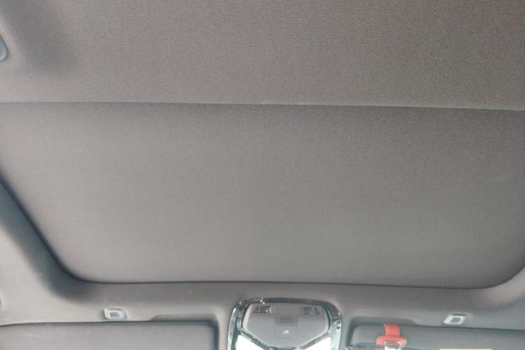 Used BMW 5 Series 2021 530Li xDrive M Sport Package Headliner