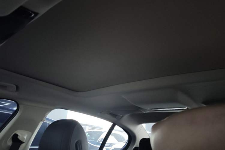 Used BMW 5 Series 2021 525Li Luxury Package Headliner