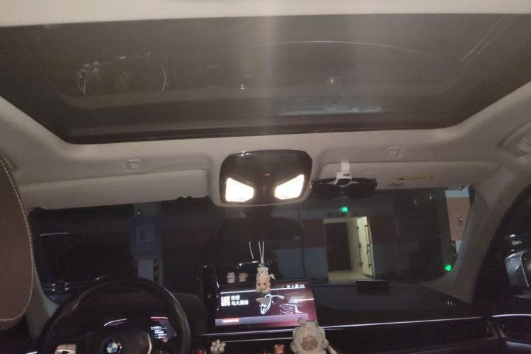 Used BMW 5 Series 2021 525Li Luxury Package Headliner