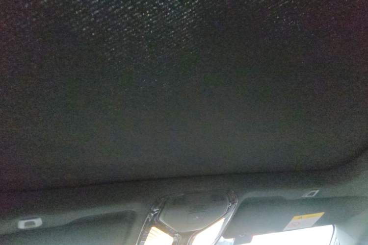 Used BMW 5 Series 2021 530Li Luxury Edition M Sport Package Headliner