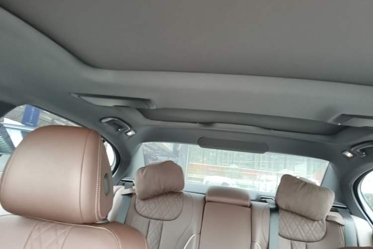 Used BMW 5 Series 2021 530Li Leading Model M Sport Package Headliner