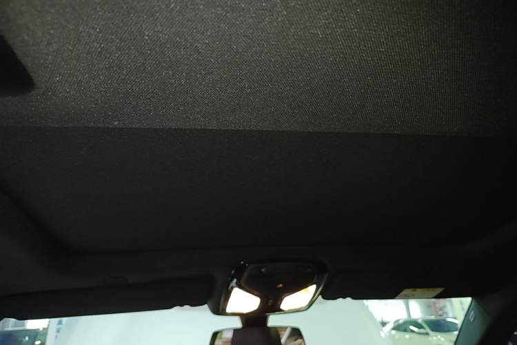 Used BMW 5 Series 2021 Facelifted 530Li Leading Edition M Sport Package Headliner