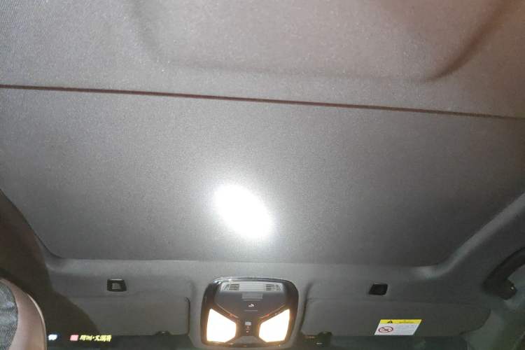 Used BMW 5 Series 2021 Facelifted 525Li M Sport Package Headliner