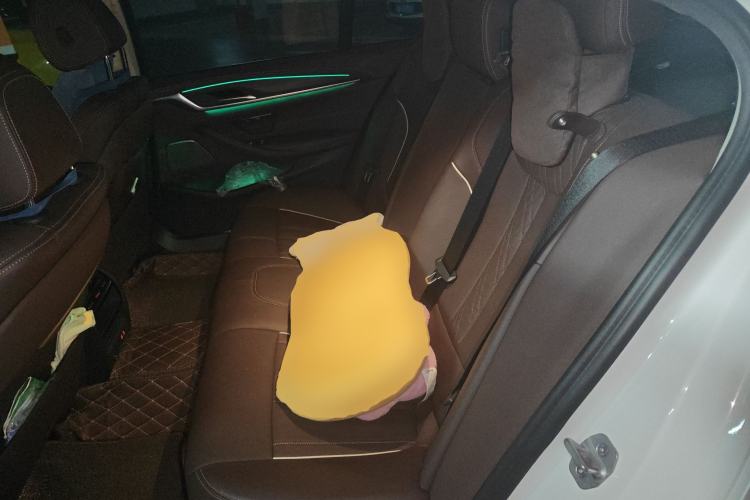 Used BMW 5 Series 2021 530Li Leading Luxury Package Left Rear Seat