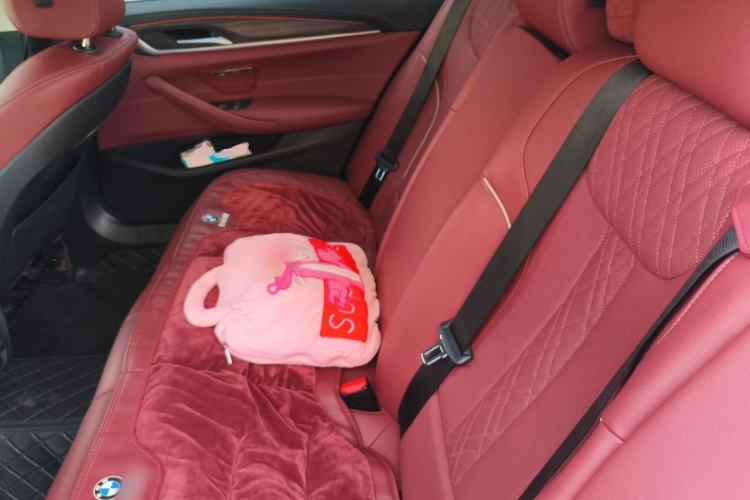 Used BMW 5 Series 2021 530Li Leading Luxury Package Left Rear Seat