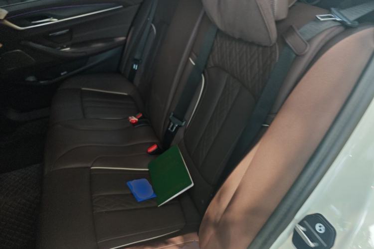 Used BMW 5 Series 2021 530Li Luxury Edition M Sport Package Left Rear Seat