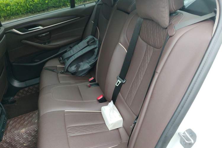 Used BMW 5 Series 2021 530Li Leading Luxury Package Left Rear Seat