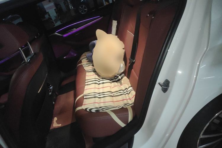 Used BMW 5 Series 2021 530Li Leading Model M Sport Package Left Rear Seat