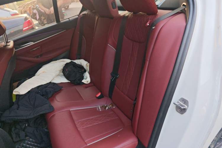 Used BMW 5 Series 2021 530Li Leading Model M Sport Package Left Rear Seat