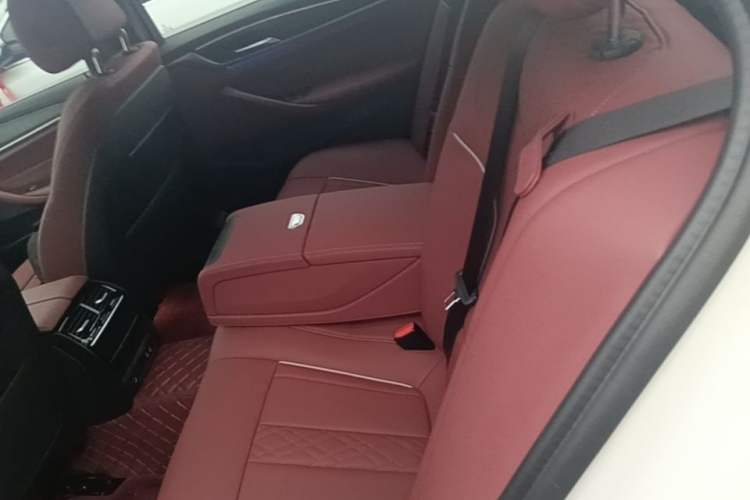Used BMW 5 Series 2021 530Li Leading Model M Sport Package Left Rear Seat