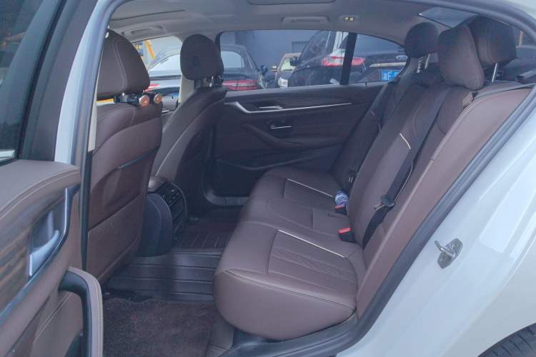 Used BMW 5 Series 2021 530Li Leading Luxury Package Left Rear Seat
