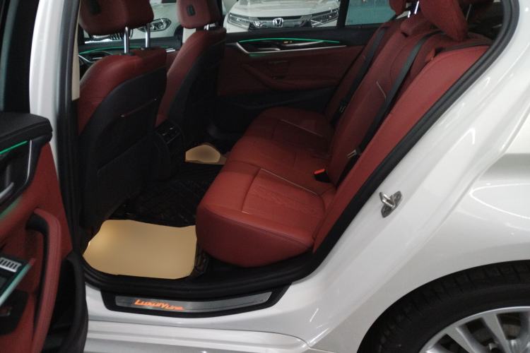 Used BMW 5 Series 2021 Updated Version 525Li Luxury Package Left Rear Seat