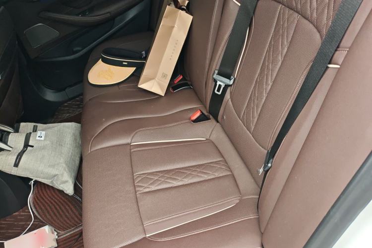 Used BMW 5 Series 2021 530Li Luxury Edition Premium Package Left Rear Seat