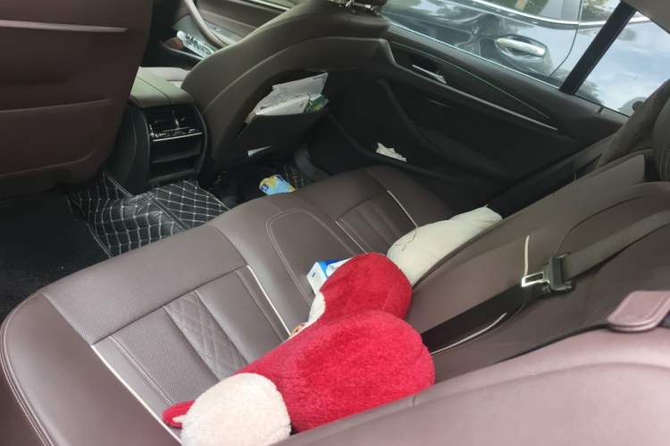 Used BMW 5 Series 2021 530Li Leading Luxury Package Left Rear Seat