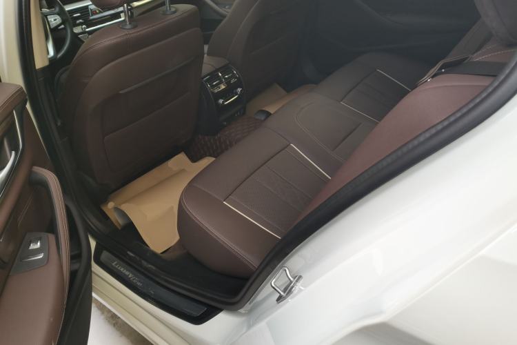 Used BMW 5 Series 2021 530Li xDrive Luxury Package Left Rear Seat