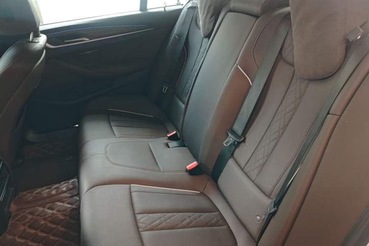 Used BMW 5 Series 2021 530Li Leading Luxury Package Left Rear Seat