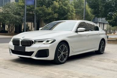 Used BMW 5 Series 2021 530Li Leading Model M Sport Package