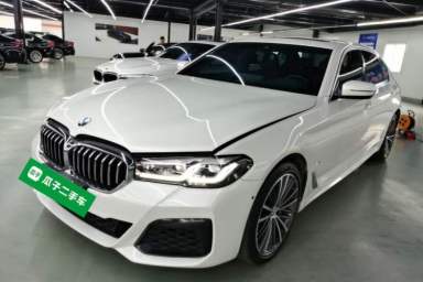 Used BMW 5 Series 2021 530Li Leading Model M Sport Package
