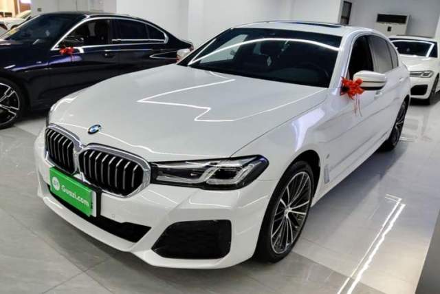 Used BMW 5 Series 2021 530Li Leading Model M Sport Package