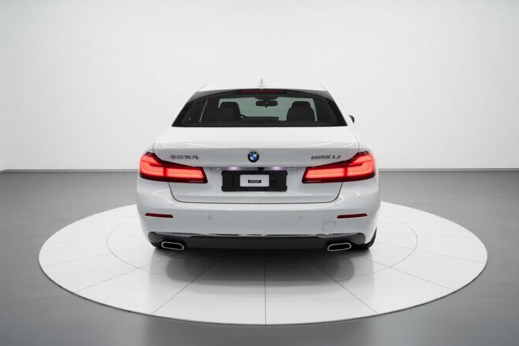 Used BMW 5 Series 2021 525Li Luxury Package Rear