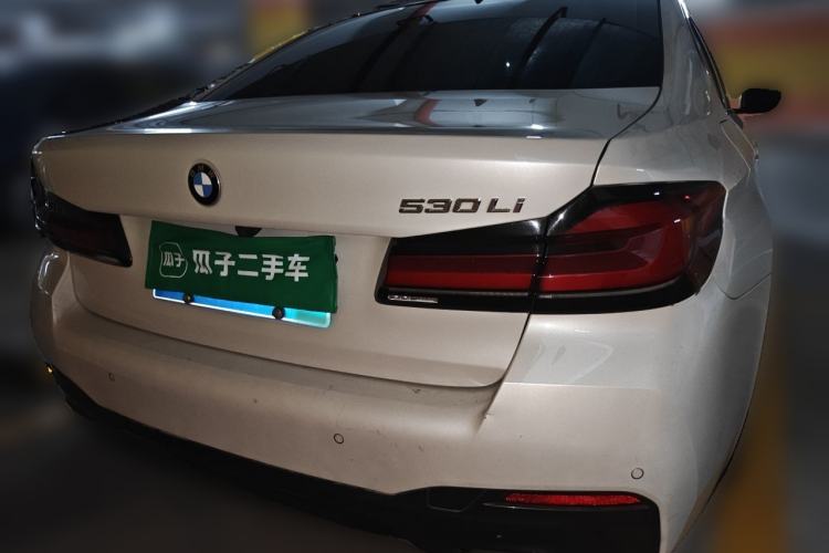 Used BMW 5 Series 2021 530Li Luxury Edition M Sport Package Rear