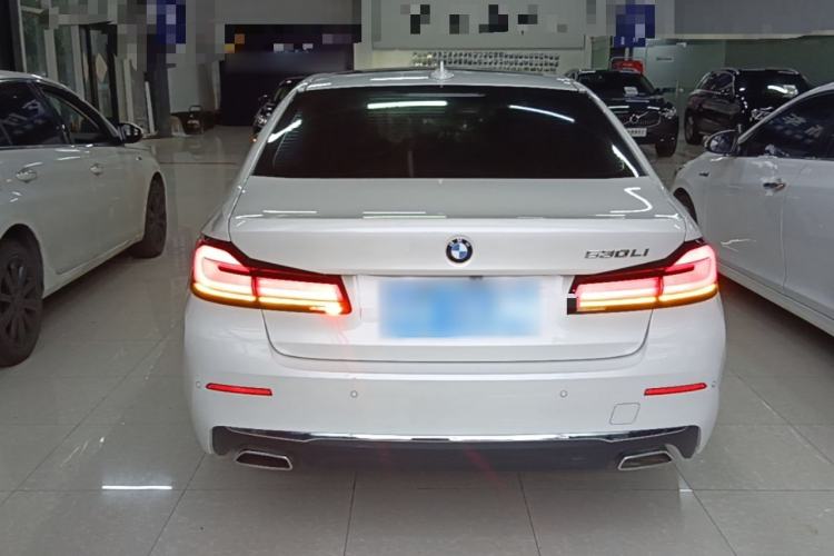 Used BMW 5 Series 2021 530Li Leading Luxury Package Rear