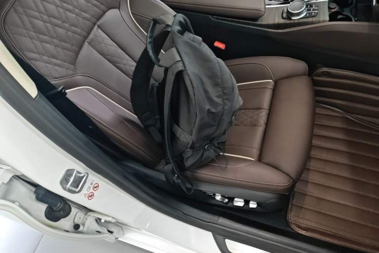 Used BMW 5 Series 2021 530Li Luxury Edition Premium Package Right Front Seat
