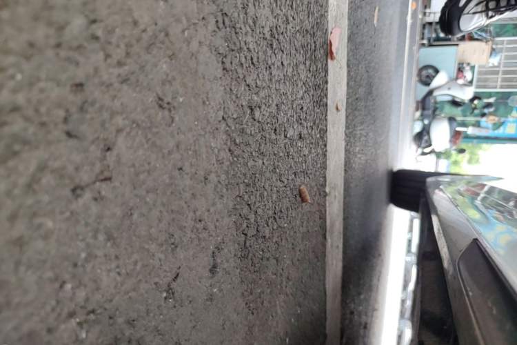 Used BMW 5 Series 2021 530Li Luxury Edition Premium Package Right Side Sill
