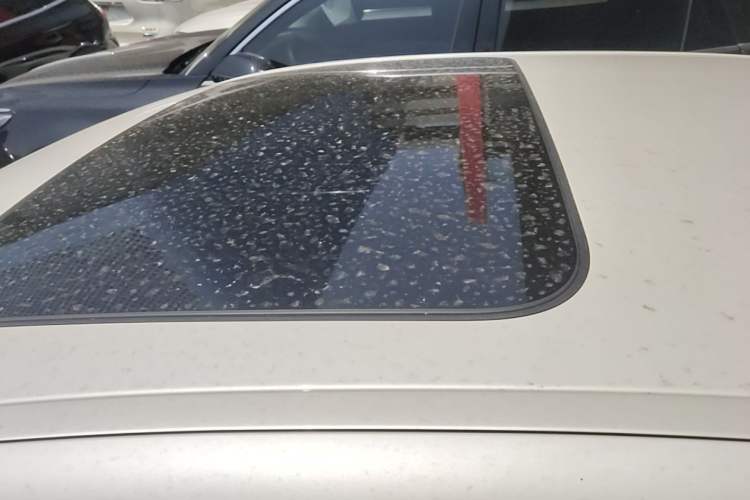 Used BMW 5 Series 2021 525Li Luxury Package Roof