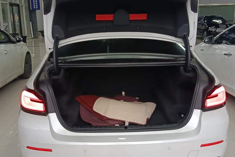Used BMW 5 Series 2021 530Li Leading Luxury Package Trunk
