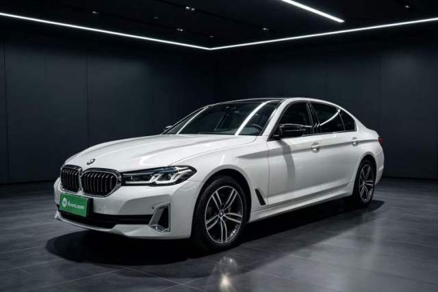 Used BMW 5 Series 2021 530Li Leading Luxury Package