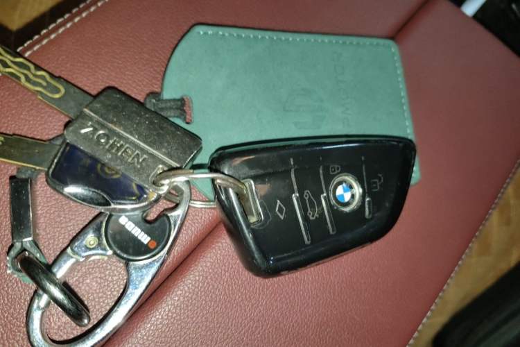 Used BMW 5 Series 2021 525Li Luxury Package Vehicle Key