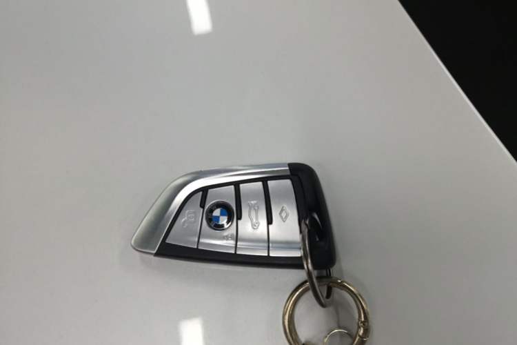 Used BMW 5 Series 2021 530Li Leading Model M Sport Package Vehicle Key
