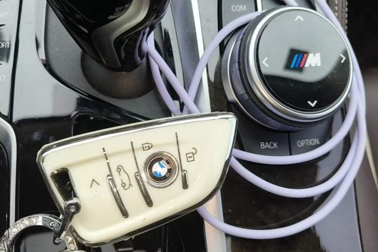 Used BMW 5 Series 2021 525Li Luxury Package Vehicle Key
