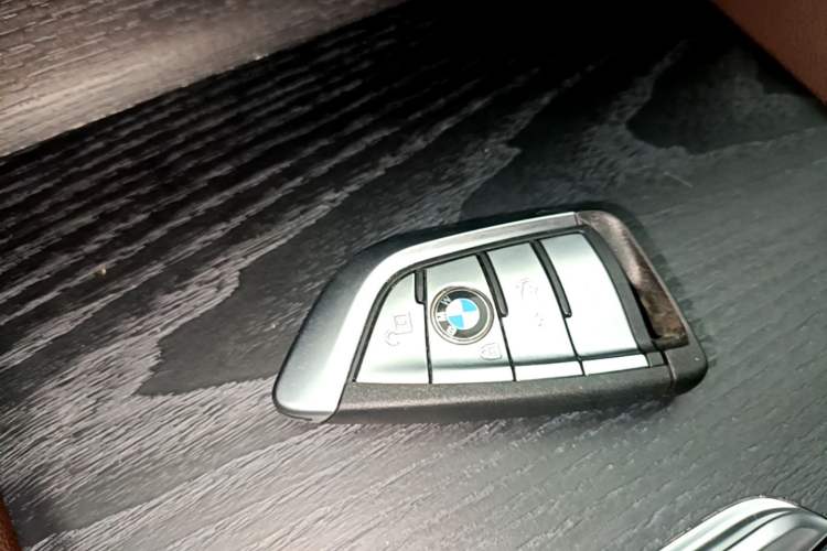 Used BMW 5 Series 2021 Facelifted 530Li Leading Edition M Sport Package Vehicle Key