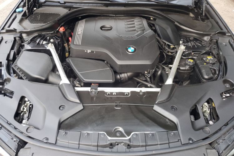 Used BMW 5 Series 2022 Second Facelift 530Li Leading Edition M Sport Package Engine Bay