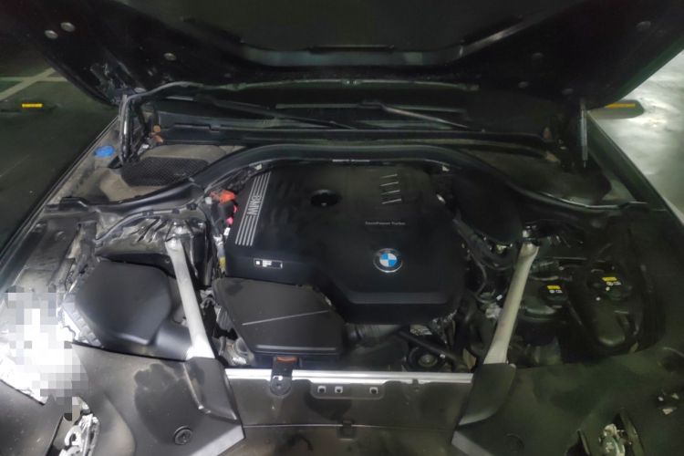 Used BMW 5 Series 2022 Revised Version 3 530Li Luxury Edition M Sport Package Engine Bay