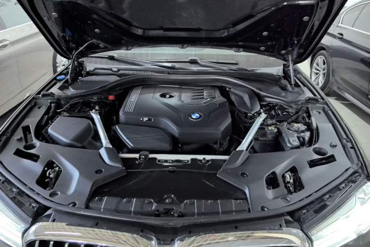 Used BMW 5 Series 2022 Second Facelift 530Li Luxury Edition Premium Package Engine Bay