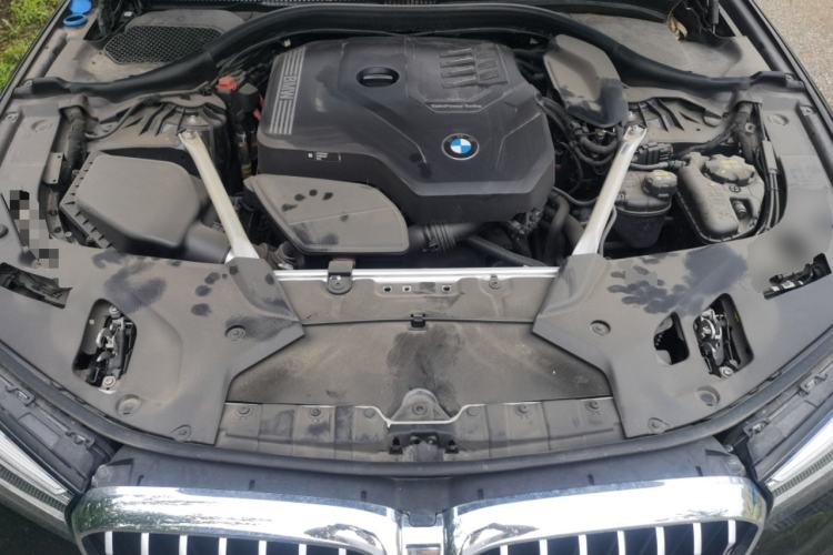 Used BMW 5 Series 2022 530Li xDrive Luxury Package Engine Bay