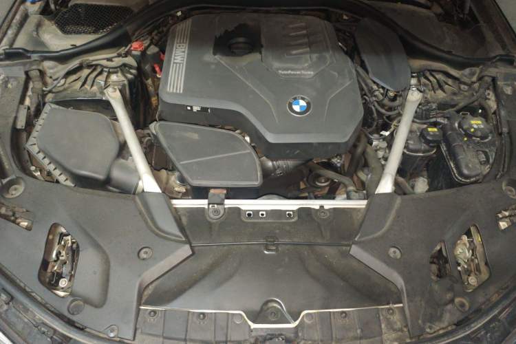 Used BMW 5 Series 2022 530Li Luxury Edition M Sport Package Engine Bay