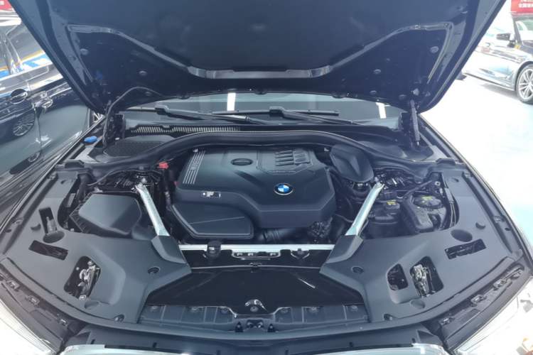 Used BMW 5 Series 2022 Second Facelift 530Li Luxury Edition Premium Package Engine Bay