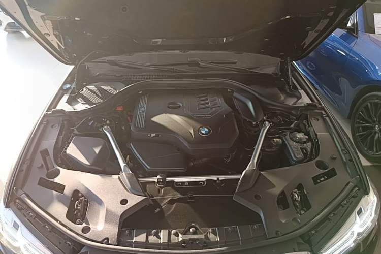 Used BMW 5 Series 2022 Updated 530Li Luxury Edition Premium Package Engine Bay