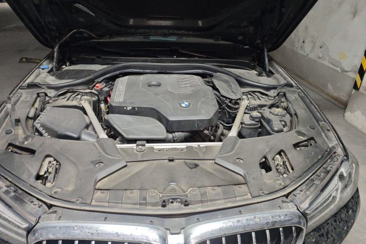 Used BMW 5 Series 2022 Second Facelift 530Li Luxury Edition Premium Package Engine Bay