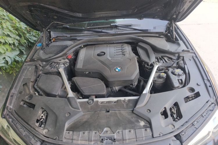 Used BMW 5 Series 2022 Restyled 530Li Luxury Edition M Sport Package Engine Bay